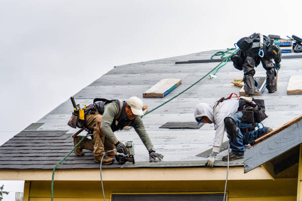 Professional Roofing technician working in Marine On Saint Croix, MN